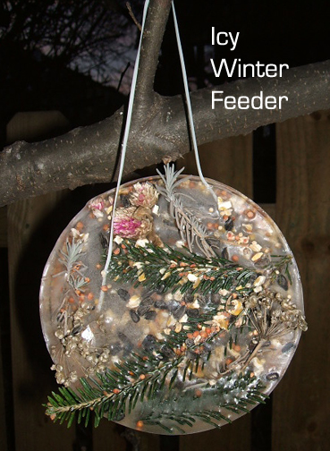 winter feeder